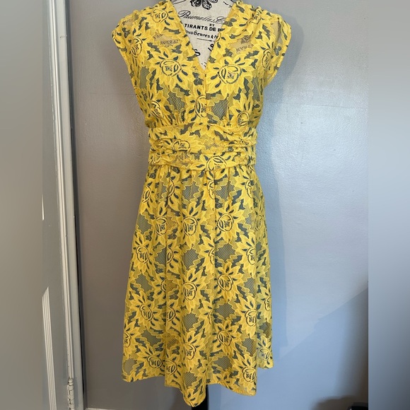 Anthropologie Plenty by Tracy Reese Nikki Garden Trellis Lace Yellow Dress Sz 6 - Picture 4 of 14